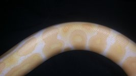 20160422_221637.jpg