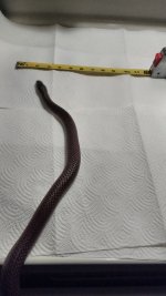 IMG_20160323_212844900.jpg