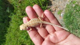 20160721_121011.jpg