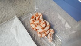 Sunglow het Anery 4.jpg