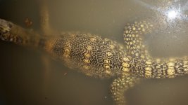 20160409_174527.jpg