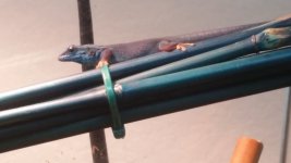 20160210_122935.jpg