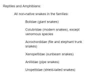 Screenshot (430).png