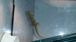 20160210_143752.jpg