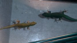 20160210_143740.jpg