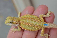 DSC_4636.jpg