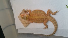 20150429_174937.jpg