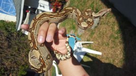 20160210_092317.jpg
