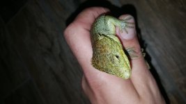 20160517_194836.jpg
