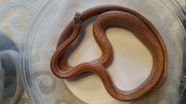 20160306_155214.jpg