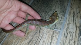 20160517_195057.jpg
