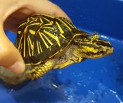 20160615_232648.jpg