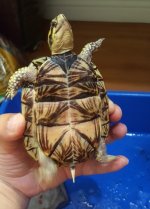 20160615_232641.jpg