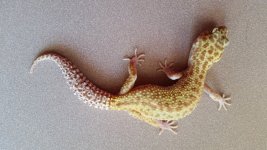 20160614_122027.jpg