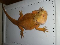 20160720_210852.jpg