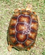 IMG_20160622_183052.jpg