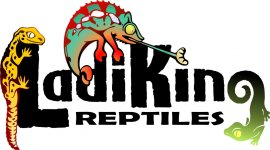 LadiKing_Logo_Color_Final_10.jpg