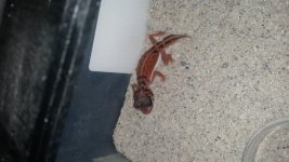20160506_173711.jpg