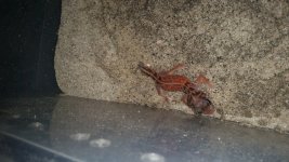 20160506_173649.jpg