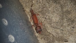 20160506_173642.jpg