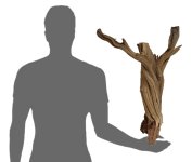Mw6size.jpg