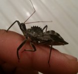 20160630_000237.jpg