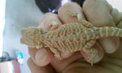 20160410_104132.jpg