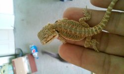 20160410_104050.jpg