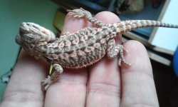 20160410_103858.jpg