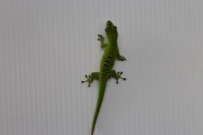 IMG_1855.jpg
