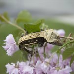 IMG_20160505_211615.jpg