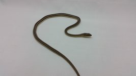 20160515_172053.jpg