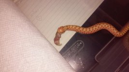 thumbnail_20160718_175251.jpg