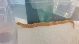 thumbnail_20160717_173920.jpg