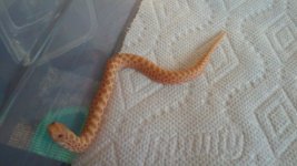 thumbnail_20160717_173903.jpg