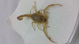 20160510_164510.jpg