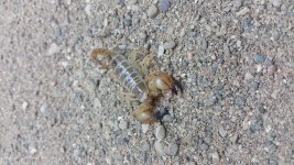 20160510_164701.jpg