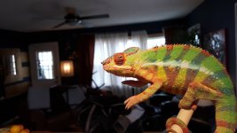 20160326_120238.jpg