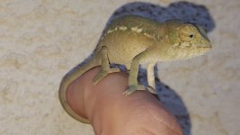 20160209_135705.jpg