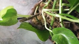 20160226_210542.jpg
