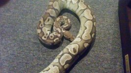 thumbnail_20160428_202016.jpg
