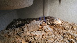 20160618_171452.jpg