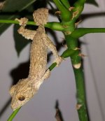 IMG_20160531_204224.jpg