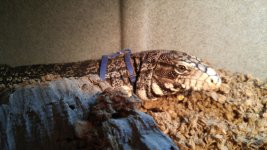20160618_171558.jpg