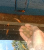 IMG_20160616_200303.jpg