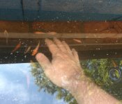 IMG_20160616_200149.jpg