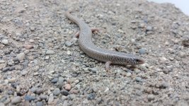 20160515_171349.jpg