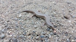 20160515_171247.jpg