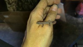 20160616_152216.jpg