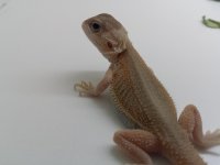 20160730_101714.jpg